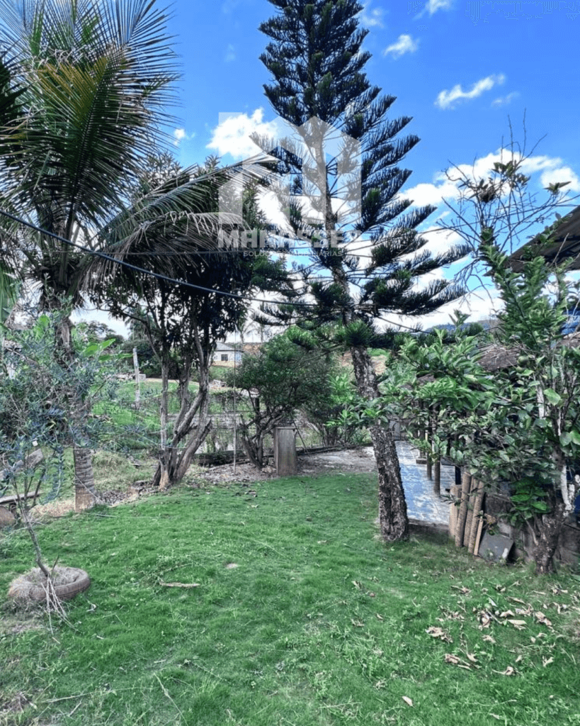 Área gramada de chácara com árvores, palmeiras e cerca ao fundo, em dia de céu azul, localizada no Córrego Guarani, Reduto MG.