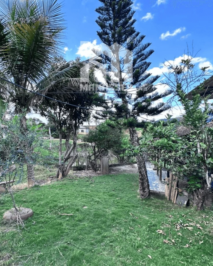 Área gramada de chácara com árvores, palmeiras e cerca ao fundo, em dia de céu azul, localizada no Córrego Guarani, Reduto MG.
