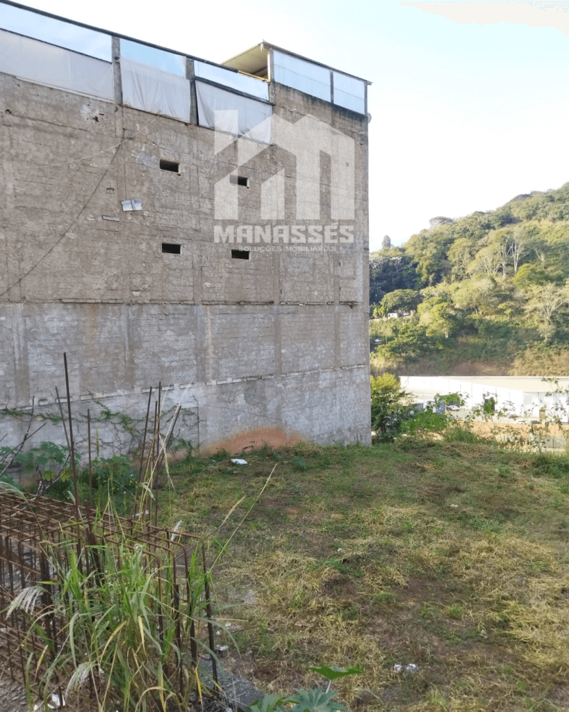 Imagem de lote urbano à venda em Manhuaçu-MG, na Avenida Castelo Branco, com terreno plano, vegetação baixa e vista para área verde e BR-262. Ideal para uso comercial ou residencial.