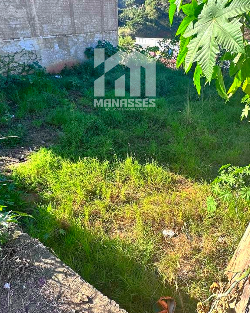Imagem de lote urbano à venda em Manhuaçu-MG com vegetação baixa e solo nivelado, situado ao lado de construção e com vista para área verde e BR-262.